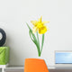 Yellow-white narcissus flower Wall Decal