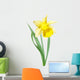 Yellow-white narcissus flower Wall Decal