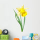 Yellow-white narcissus flower Wall Decal