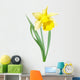 Yellow-white narcissus flower Wall Decal