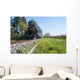 Steam train and cherry trees Wall Mural