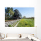 Steam train and cherry trees Wall Mural