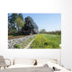 Steam train and cherry trees Wall Mural