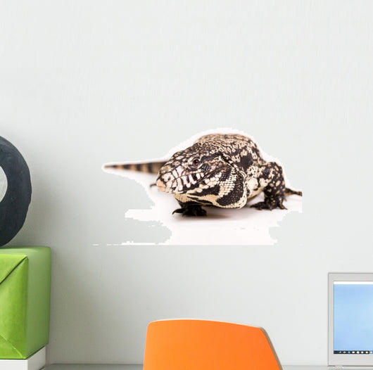 Tegu White