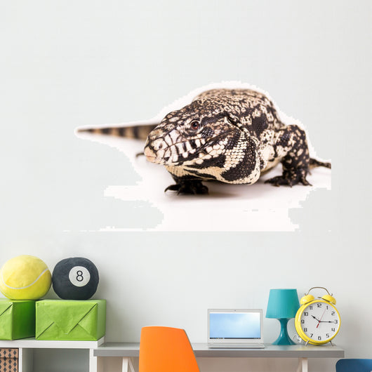 Tegu White