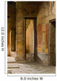 Wall Paintings Pompeii