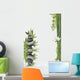 Composition Flore Aquatique Zen