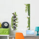 Composition Flore Aquatique Zen