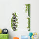 Composition Flore Aquatique Zen