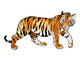 Orange Cartoon Tiger Wall Decal