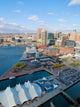 Baltimore Harbor Overview Wall Mural