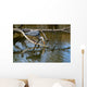 Fischreiher Lauert Am See Wall Mural