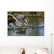 Fischreiher Lauert Am See Wall Mural
