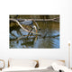 Fischreiher Lauert Am See Wall Mural