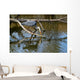 Fischreiher Lauert Am See Wall Mural