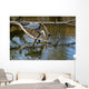 Fischreiher Lauert Am See Wall Mural