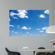 White Clouds