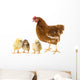Chickens and Hen Wall Decal