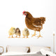 Chickens and Hen Wall Decal