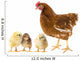 Chickens and Hen Wall Decal
