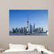 Shanghai TV tower  and Lujiazui, Landmark Wall Mural
