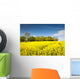 Oilseed Rape, Canola, Biodiesel Crop Wall Mural