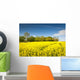 Oilseed Rape, Canola, Biodiesel Crop Wall Mural