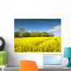 Oilseed Rape, Canola, Biodiesel Crop Wall Mural