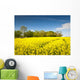 Oilseed Rape, Canola, Biodiesel Crop Wall Mural