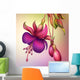 fuchsia flower macro isolated illustration Wall Mural