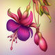 fuchsia flower macro isolated illustration Wall Mural