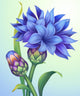 illustration of cornflower with green leaves isolated Wall Mural