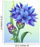 illustration of cornflower with green leaves isolated Wall Mural