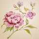 Vintage Peony Spring Flowers
