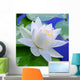White lily Wall Mural