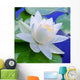White lily Wall Mural