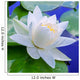 White lily Wall Mural