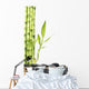 Still Life with Bamboo Grove on Pebble Wall Decal