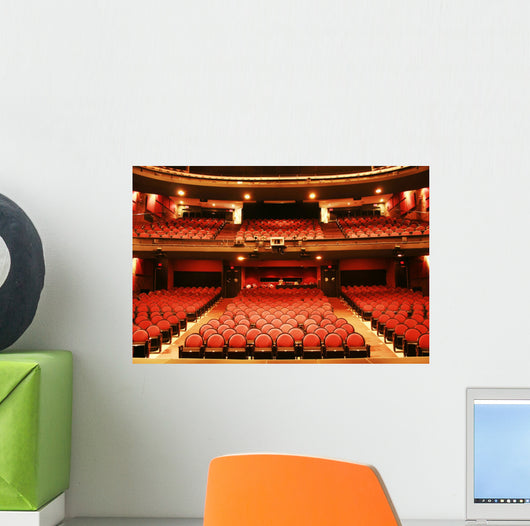 theater came Wall Mural