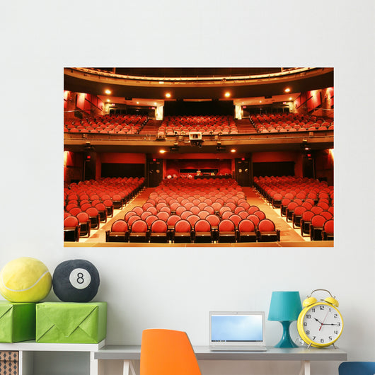 theater came Wall Mural
