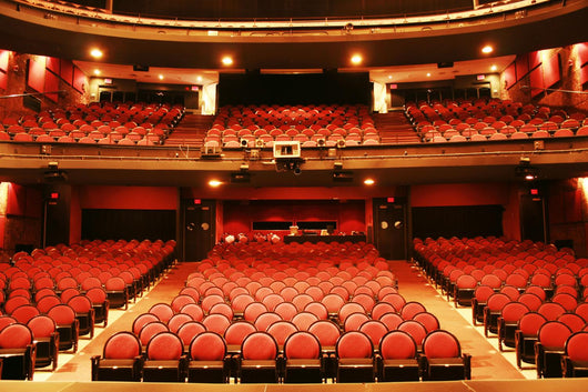 theater came Wall Mural