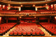 theater came Wall Mural