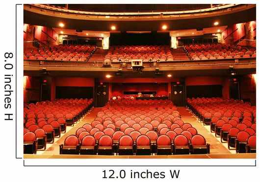 theater came Wall Mural