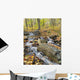 Mountain Stream