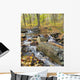 Mountain Stream