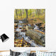 Mountain Stream
