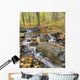 Mountain Stream