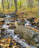 Mountain Stream