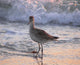 And Piper Dusk Wall Mural