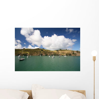 Sailboats Waiheke Island Wall Mural shown on a wall